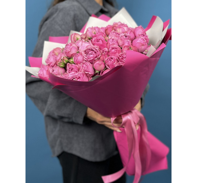 15 малинових кущових півоноподібних троянд Мисти баблс