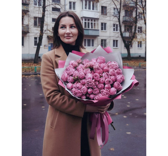 15 малинових кущових півоноподібних троянд Мисти баблс