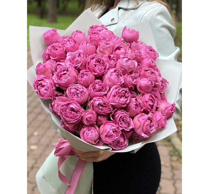 19 малинових кущових півоноподібних троянд  Мисти баблс