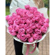 19 малинових кущових півоноподібних троянд  Мисти баблс