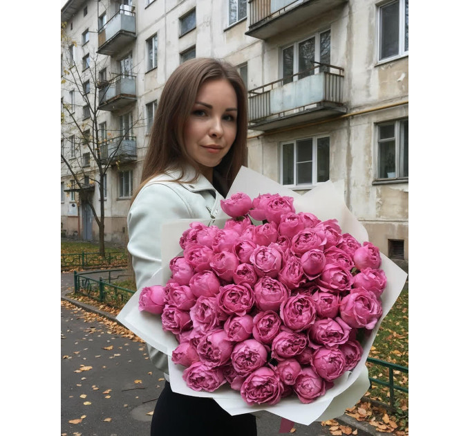 19 малинових кущових півоноподібних троянд  Мисти баблс