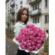 19 малинових кущових півоноподібних троянд  Мисти баблс