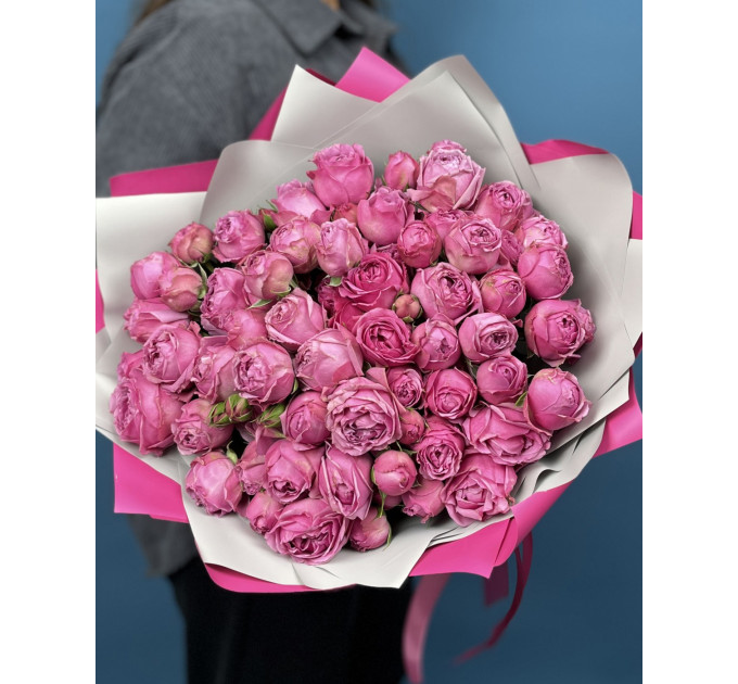 25 малинових кущових півоноподібних троянд  Мисти баблс