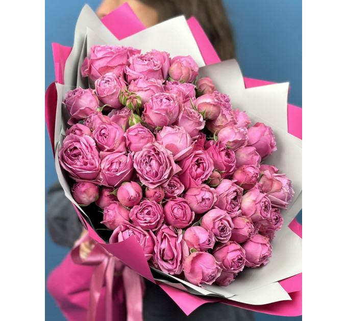 25 малинових кущових півоноподібних троянд  Мисти баблс