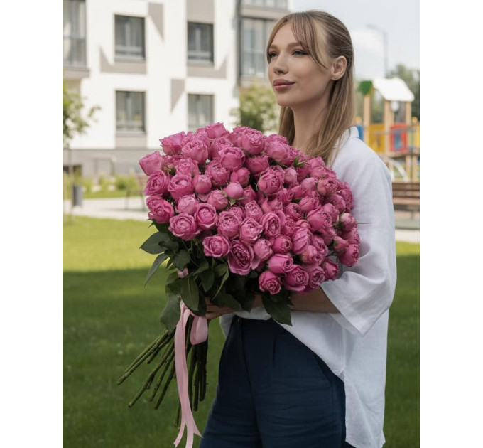 25 малинових кущових півоноподібних троянд  Мисти баблс