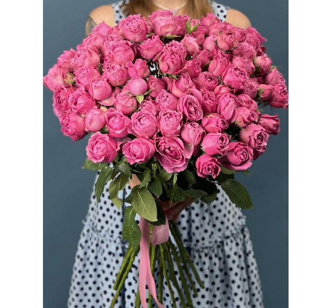 25 малинових кущових півоноподібних троянд  Мисти баблс