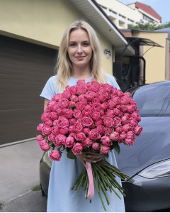 35 малинових кущових півоноподібних троянд Мисти баблс