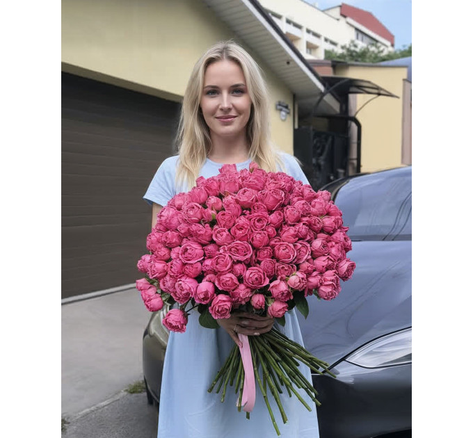 35 малинових кущових півоноподібних троянд Мисти баблс