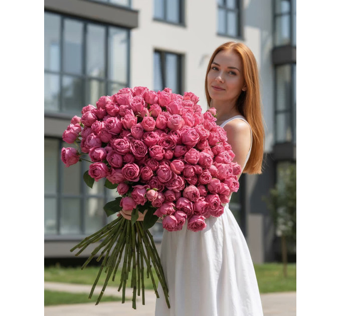 51 малинова кущова півоноподібна троянда Мисти баблс 