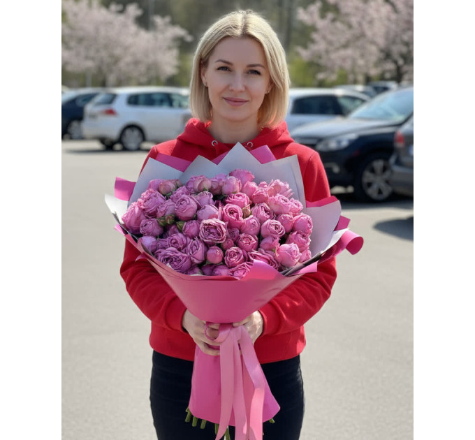 9 малинових кущових півоноподібних троянд Мисти баблс