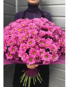 Букет рожевих хризантем