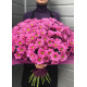 Букет рожевих хризантем