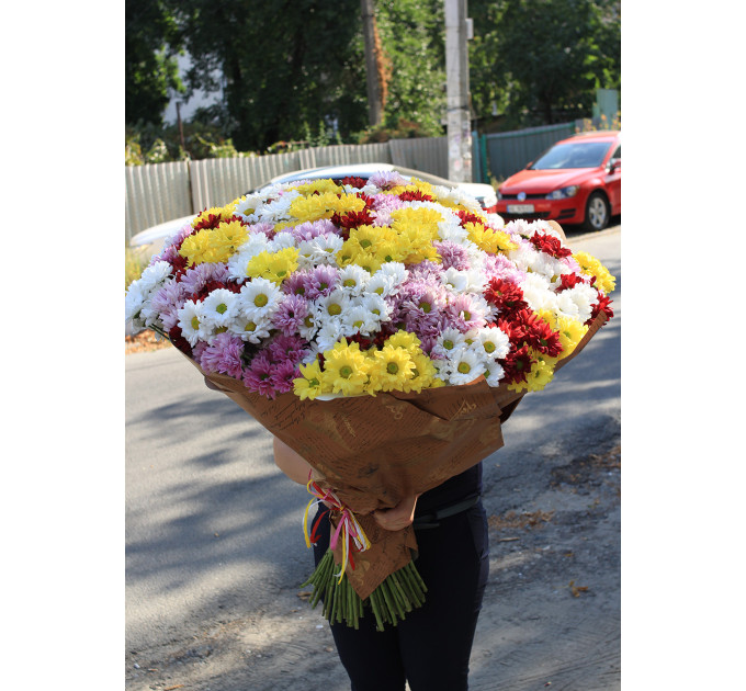 101 хризантема