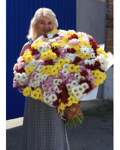 101 хризантема