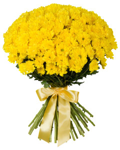 Букет  жовтих хризантем