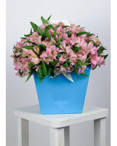 Альстромерія в коробці