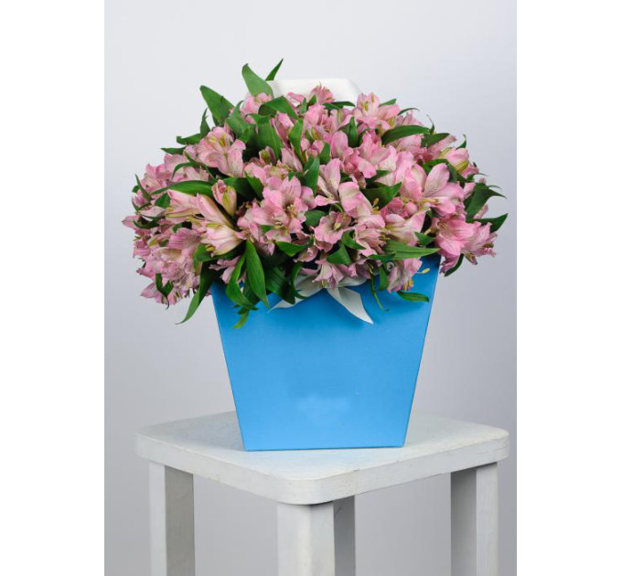 Альстромерія в коробці