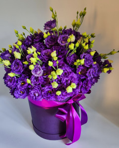 15 фіолетових єустом у коробці