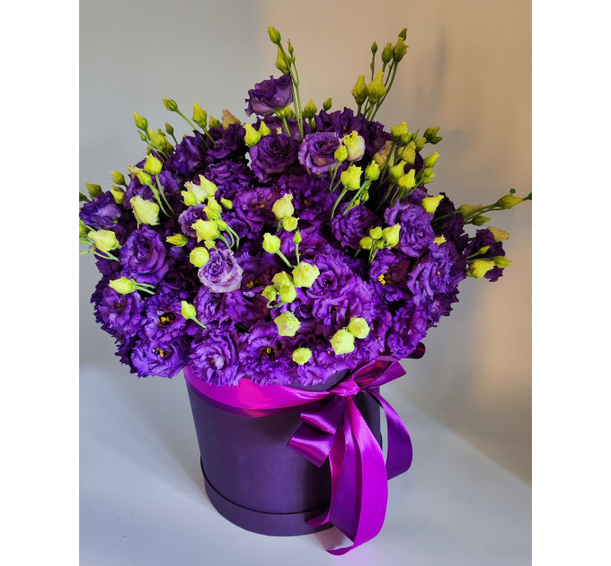 15 фіолетових єустом у коробці