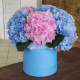 Гортензія у букеті