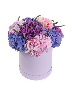 Гортензія у букеті