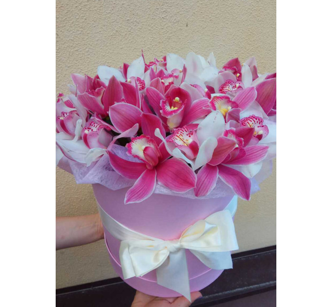 Орхідея у коробці