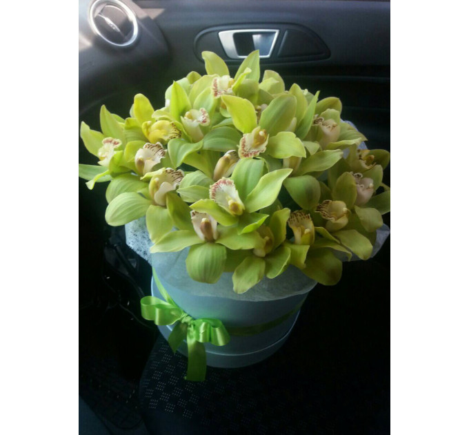 Орхідея у коробці