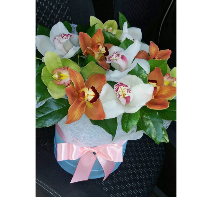 Орхідея у коробці