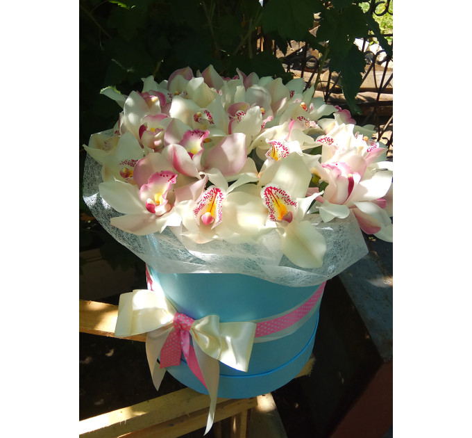 Орхідея у коробці