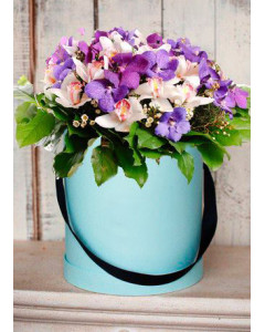 Орхідея у коробці