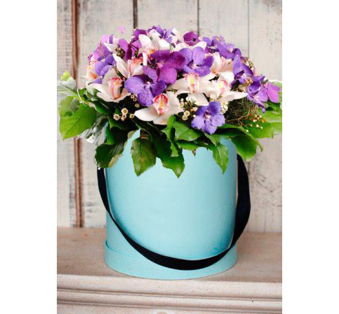 Орхідея у коробці