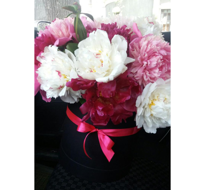 Півонії  у капелюшної капелюшної  коробці