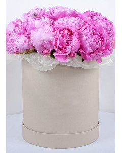 Півонії  у капелюшної капелюшної  коробці
