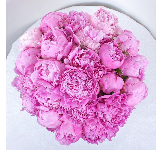 Півонії  у капелюшної капелюшної  коробці