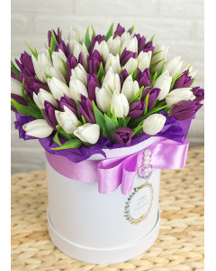 Біло-фіолетовий тюльпан в коробці ХІТ!