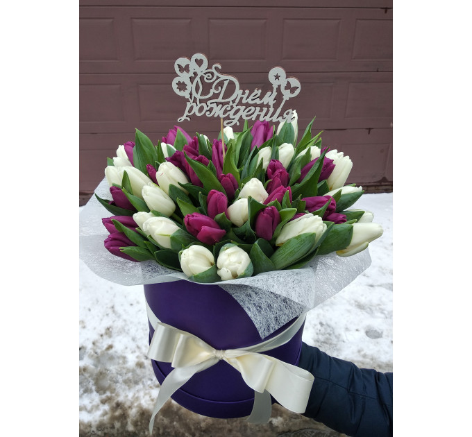 Біло-фіолетовий тюльпан в коробці ХІТ!