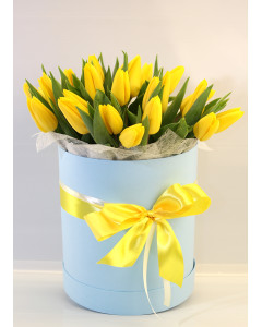 Жовті тюльпани у коробці