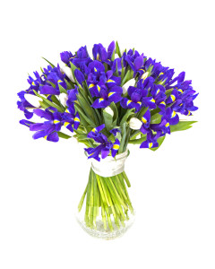 Букет тюльпанів та ірисів в Дніпрі