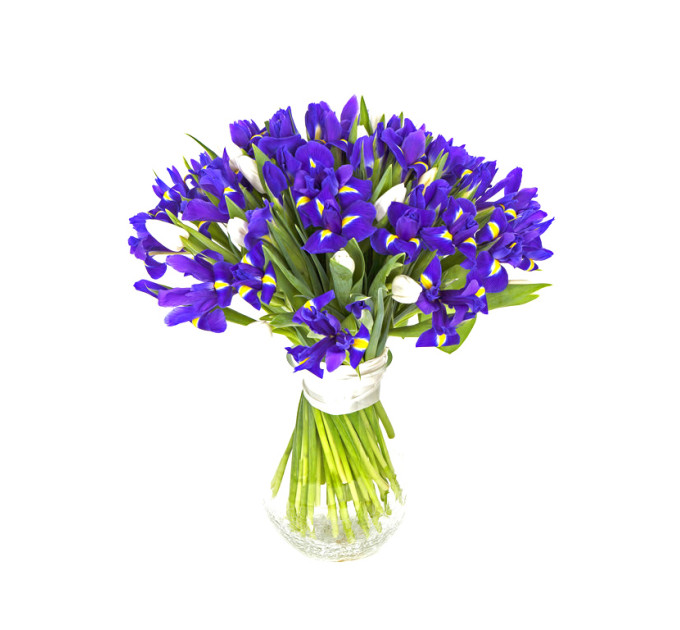 Букет тюльпанів та ірисів в Дніпрі