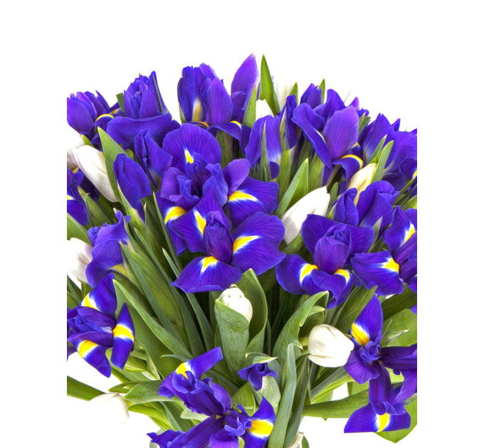 Букет тюльпанів та ірисів в Дніпрі