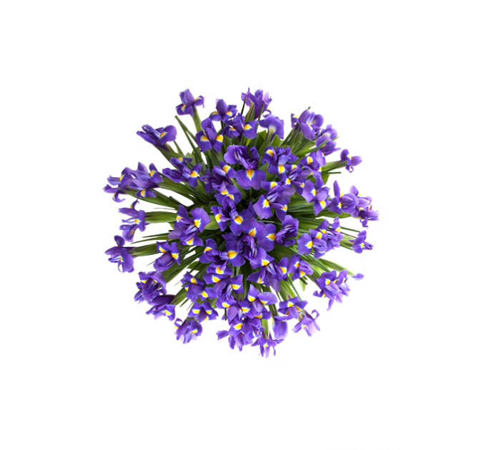 "Весна" - букет ірисів в Дніпрі