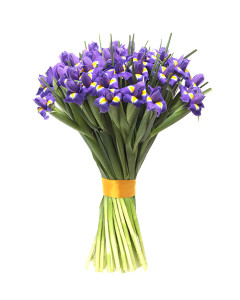 "Весна" - букет ірисів в Дніпрі