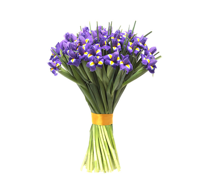 "Весна" - букет ірисів в Дніпрі