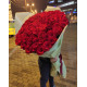 Букет зі 101 метрової червоної троянди