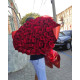 Букет зі 101 метрової червоної троянди