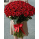 101  червона троянда