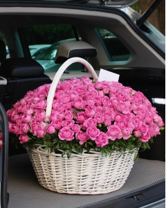 101 малинова кущова півоноподібна троянда у кошику