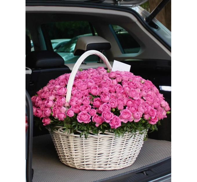 101 малинова кущова півоноподібна троянда у кошику