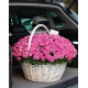 101 малинова кущова півоноподібна троянда у кошику