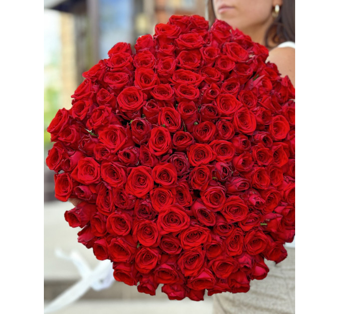 151 червона троянда